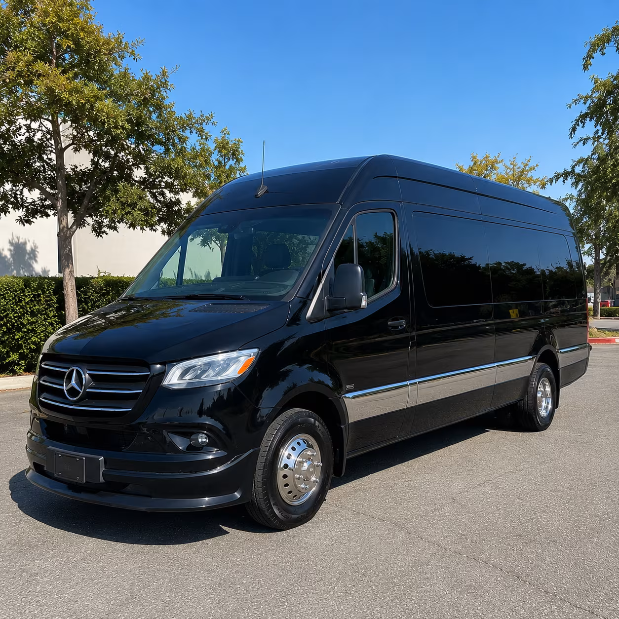 dallas 10 passenger sprinter van