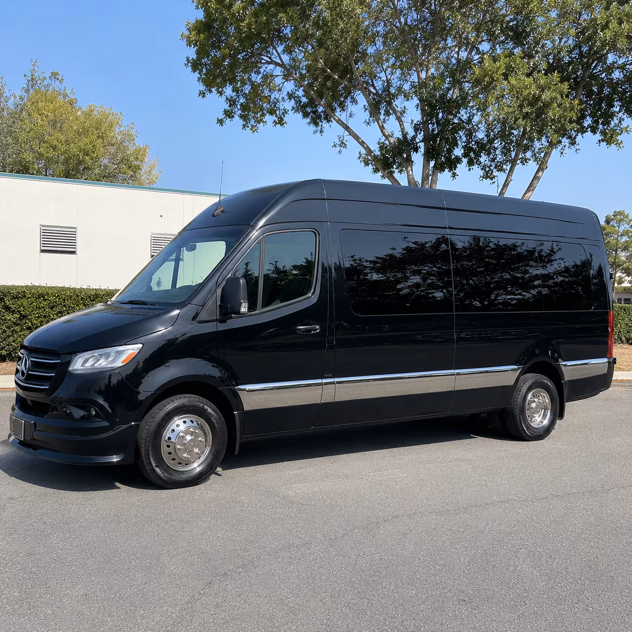 dallas 18 passenger sprinter van